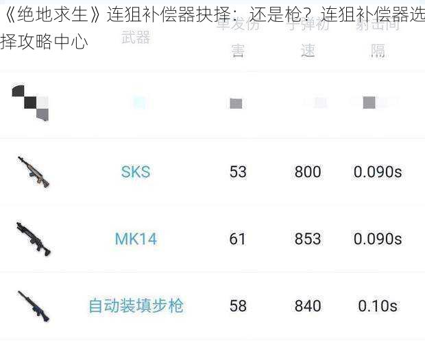 《绝地求生》连狙补偿器抉择：还是枪？连狙补偿器选择攻略中心