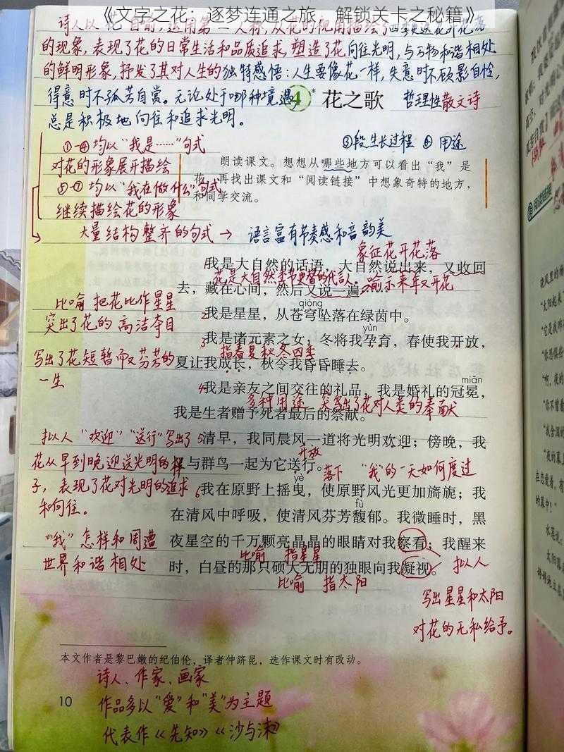 《文字之花：逐梦连通之旅，解锁关卡之秘籍》